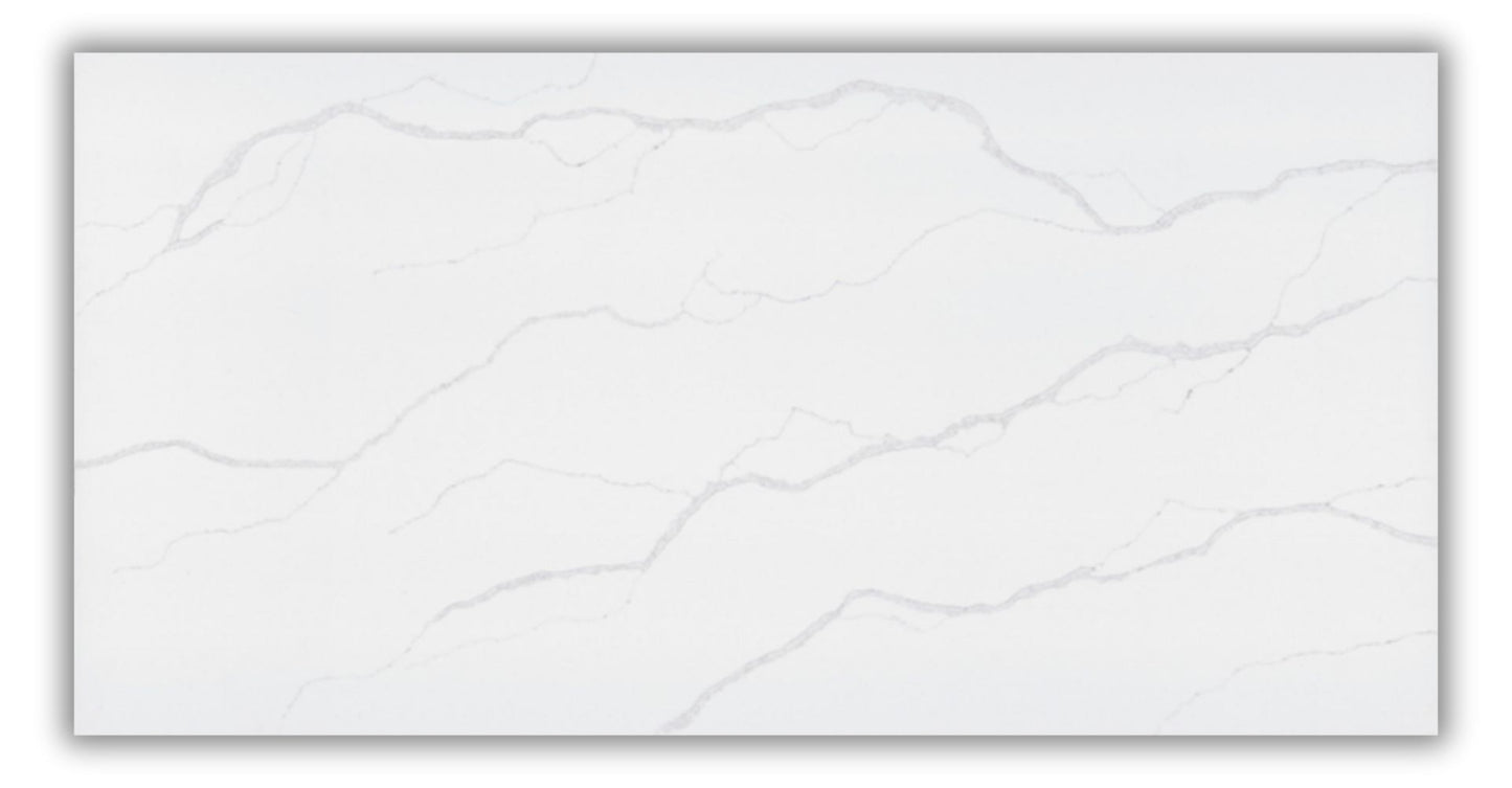 BORGHINI SILVER - QUARTZ