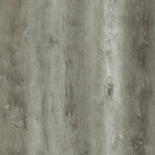 CELESTIAL GREY - TRADITIONAL XL - MILLENNIALS VINYL PLANK