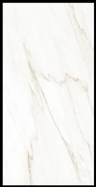 CALACATTA CREMA - 48X111 MATTE