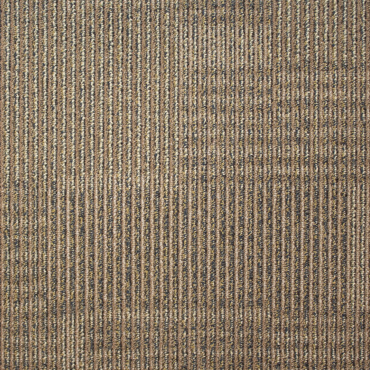 RHONE BISCUIT - MODULAR CARPET TILE