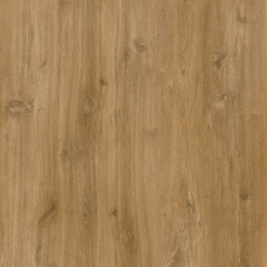 PARANA PINE - ACHIEVERS - MILLENNIALS VINYL PLANK