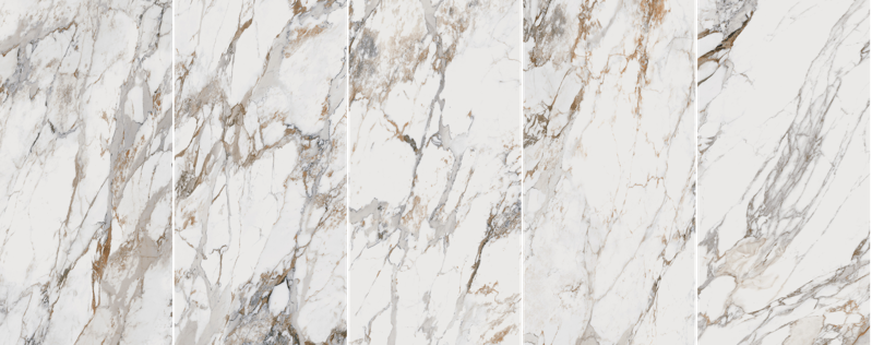 24x48 BRECCIA CAPRAIA (POLISHED) - INDULGE SERIES